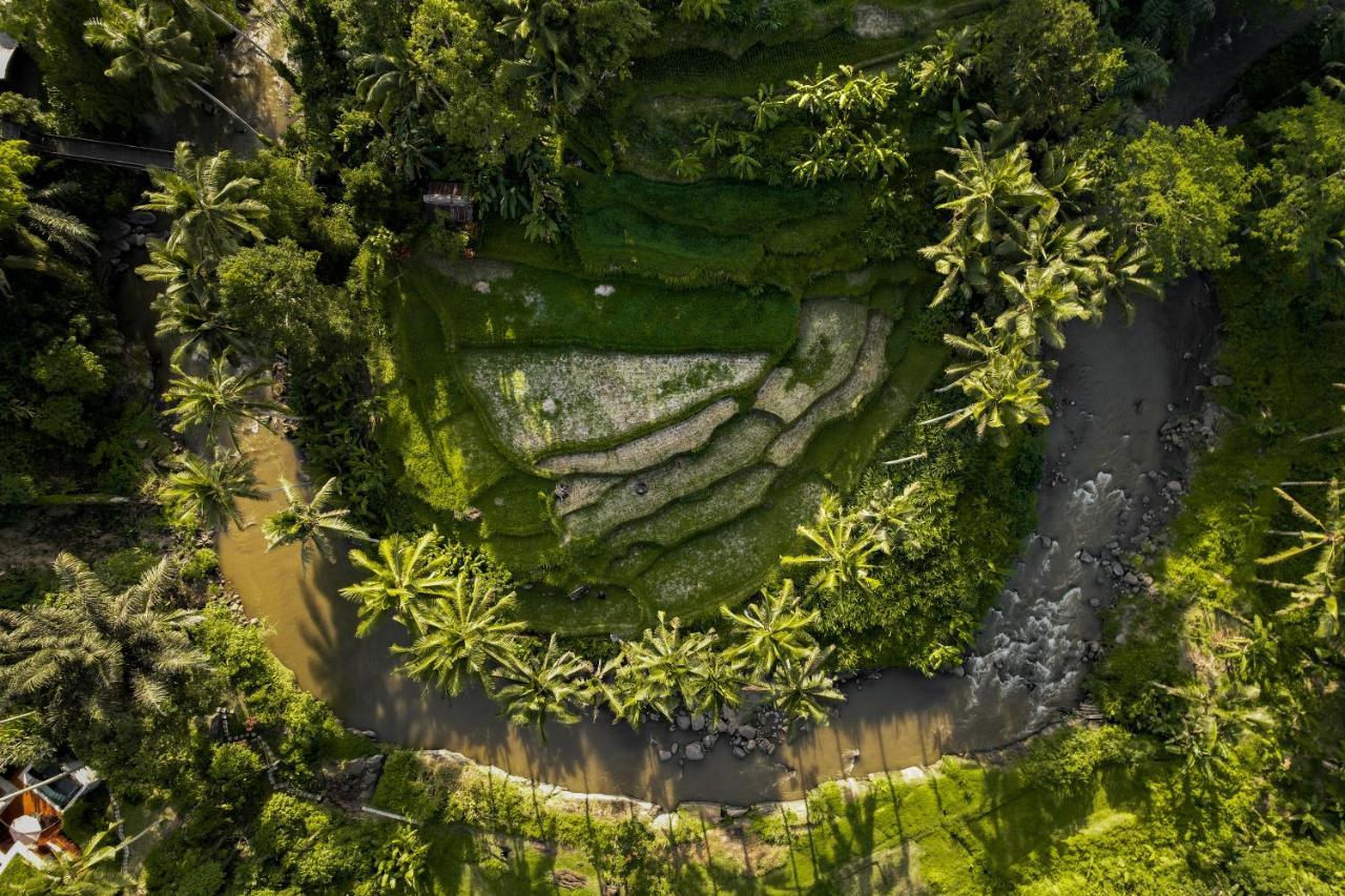 The Ridge Bali Villa Ubud  Bagian luar foto